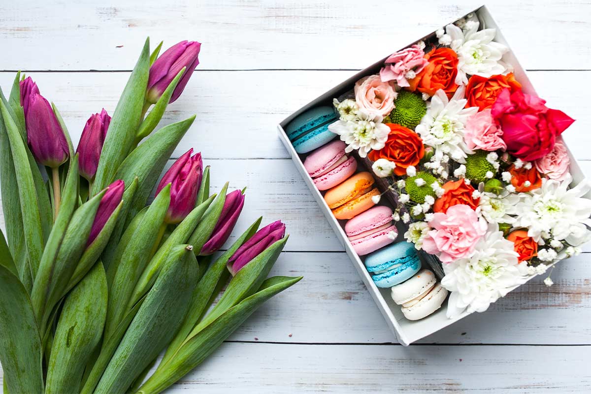 جعبه گل گلیمون جعبه گل گلیمون