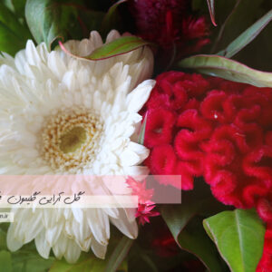دسته گل هدیه لیسیانتوس3