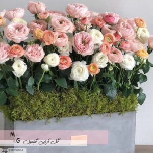 باکس گلدان سیمانی گل رز و آنمون