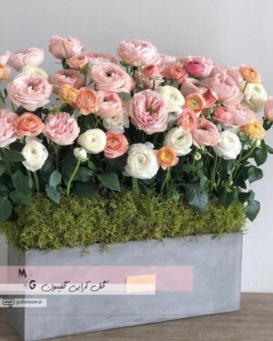 باکس گلدان سیمانی گل رز و آنمون