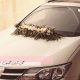 ماشین عروس با سبک راستیک