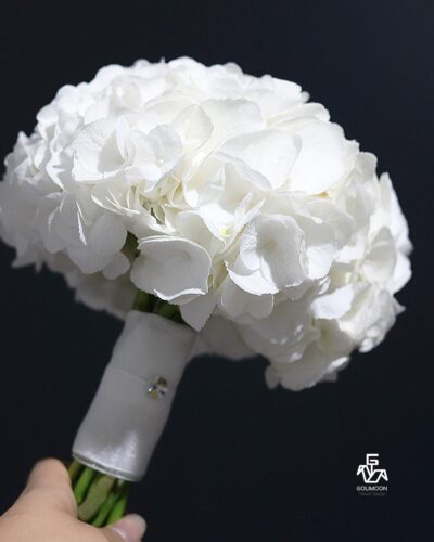 نمایی از گل زیبای سفید رنگ
