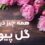 مقاله گل پیونی یا صدتومانی
