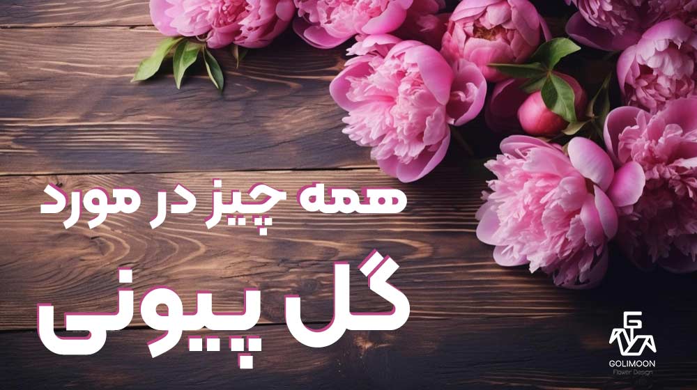 مقاله گل پیونی یا صدتومانی